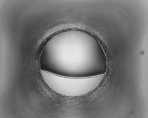 X0000091291496200708101014
