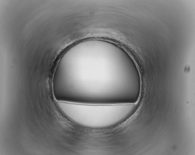 X0000091291497200708101014