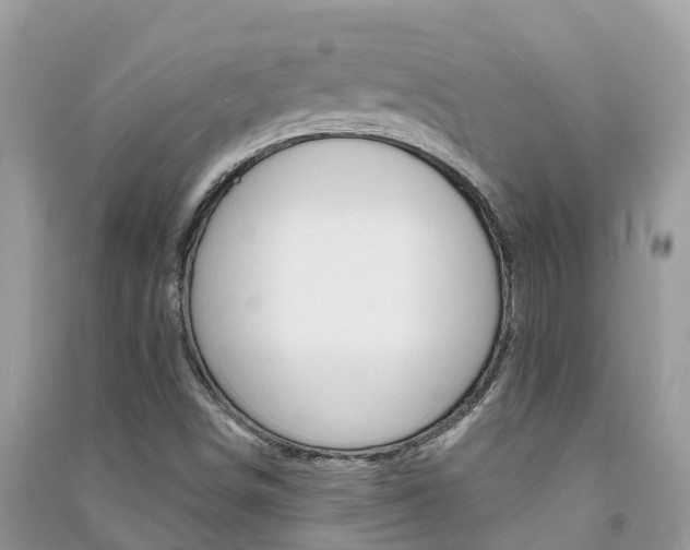 X0000091291498200708101014