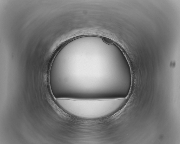 X0000091291499200708101015