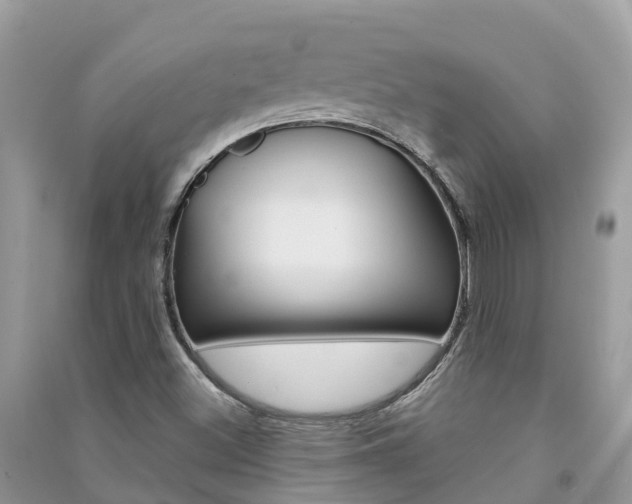 X0000091291500200708101015
