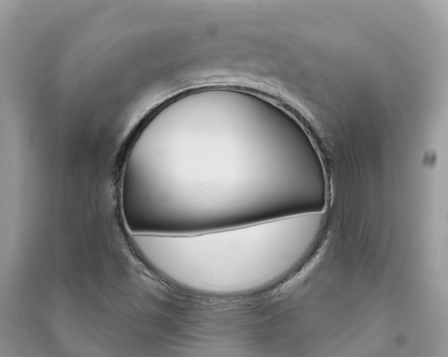 X0000091291501200708101015