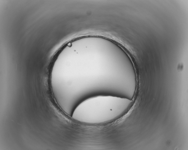 X0000091291502200708101015