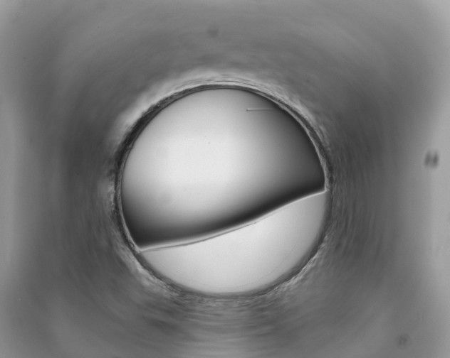 X0000091291503200708101015