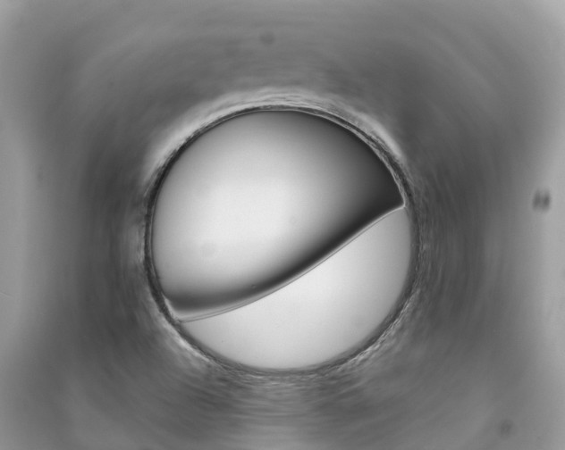 X0000091291504200708101015