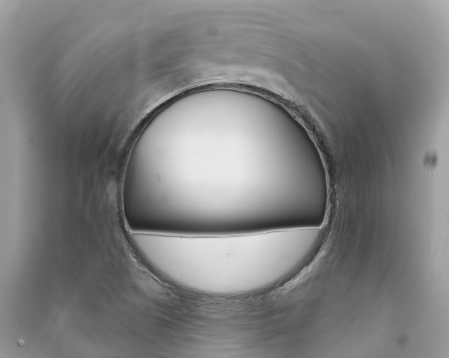 X0000091291505200708101015