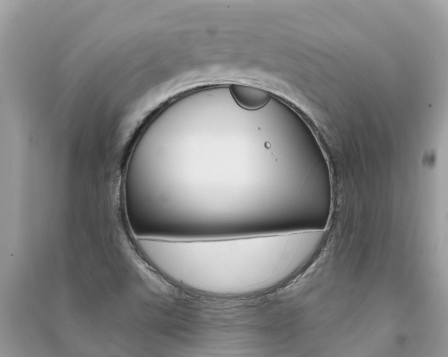 X0000091291507200708101015