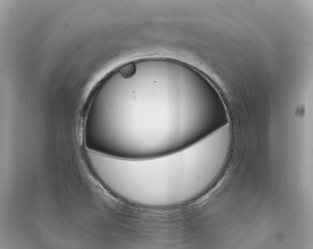 X0000091291510200708101015