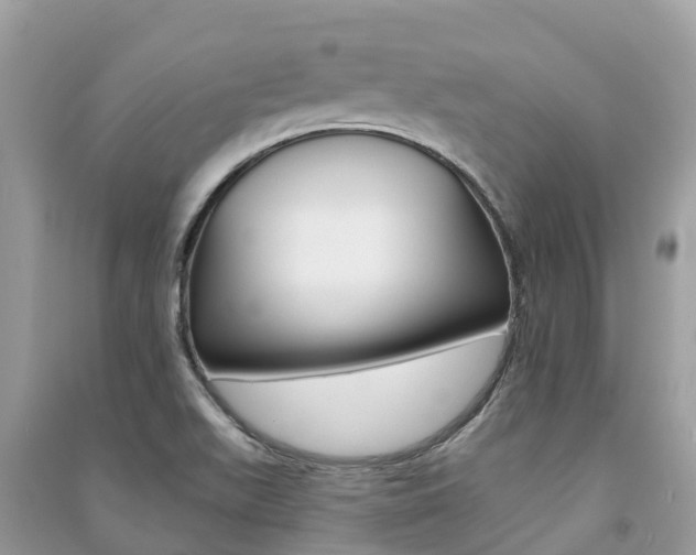 X0000091291511200708101015