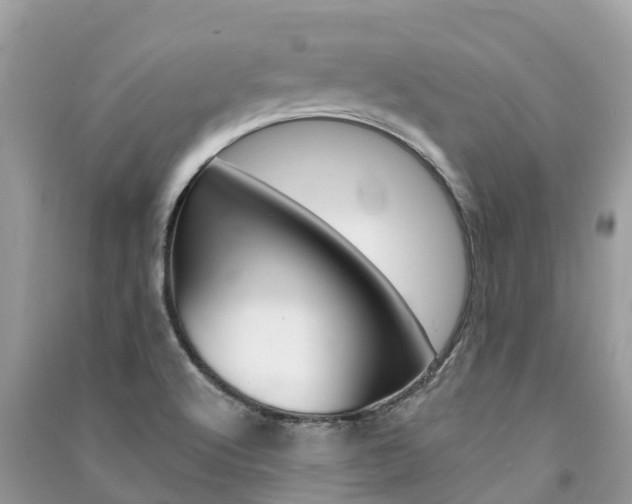 X0000091291512200708101015
