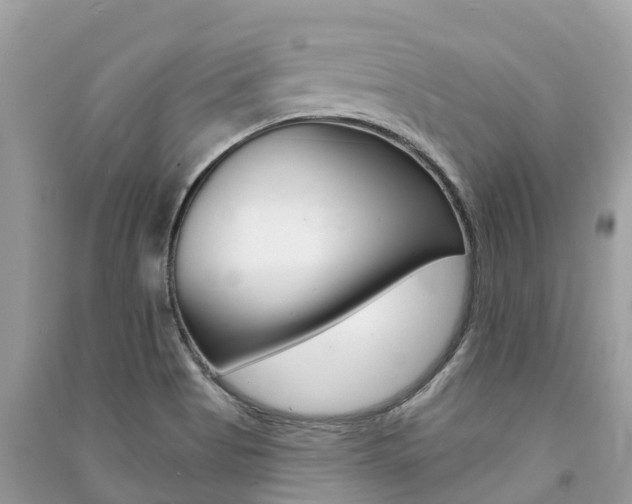 X0000091291513200708101015