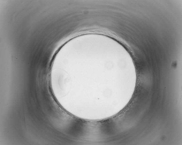 X0000091291514200708101015