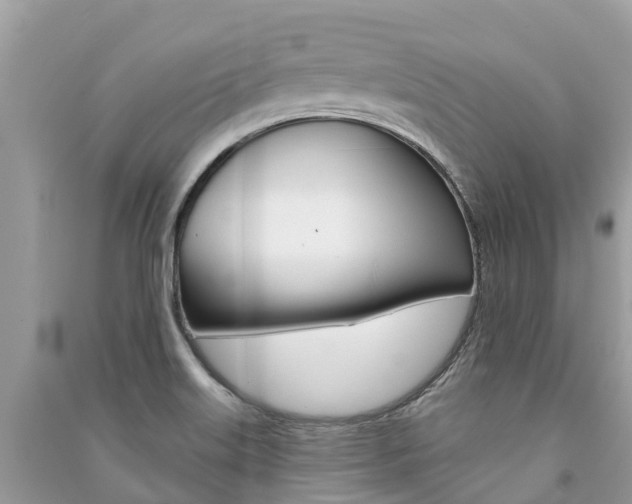 X0000091291515200708101015