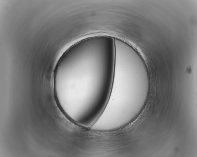 X0000091291516200708101015