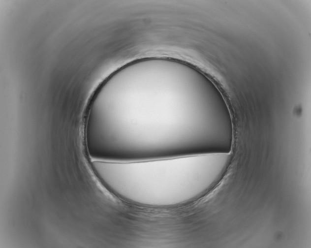 X0000091291517200708101015