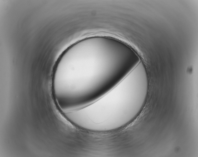 X0000091291518200708101015