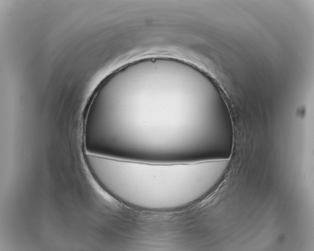 X0000091291519200708101015