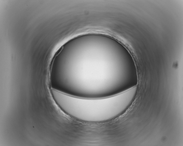 X0000091291520200708101015