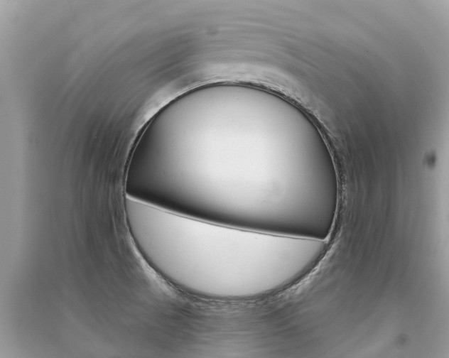 X0000091291521200708101015