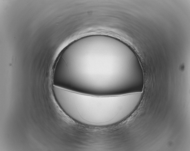 X0000091291522200708101015