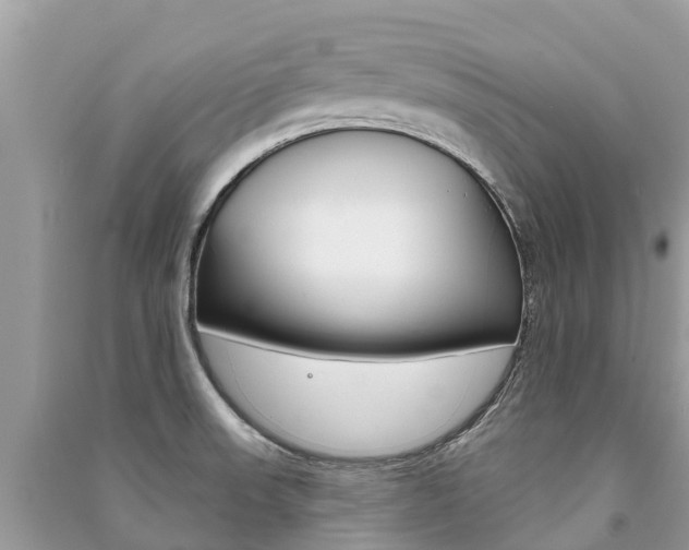 X0000091291523200708101015
