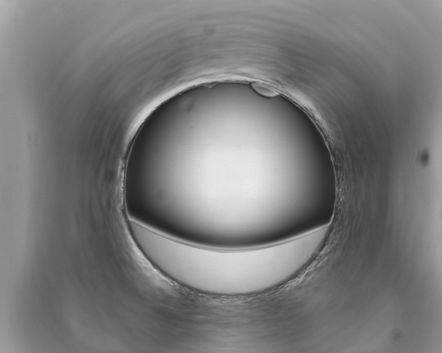 X0000091291524200708101015