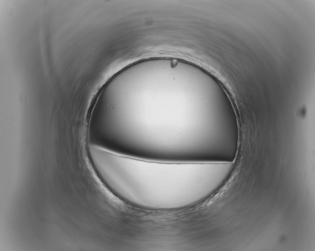 X0000091291525200708101015