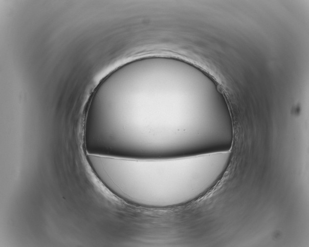 X0000091291526200708101015