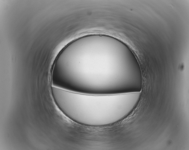 X0000091291527200708101015