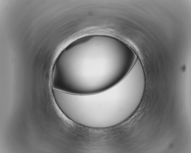 X0000091291528200708101015