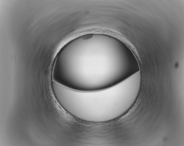X0000091291530200708101015