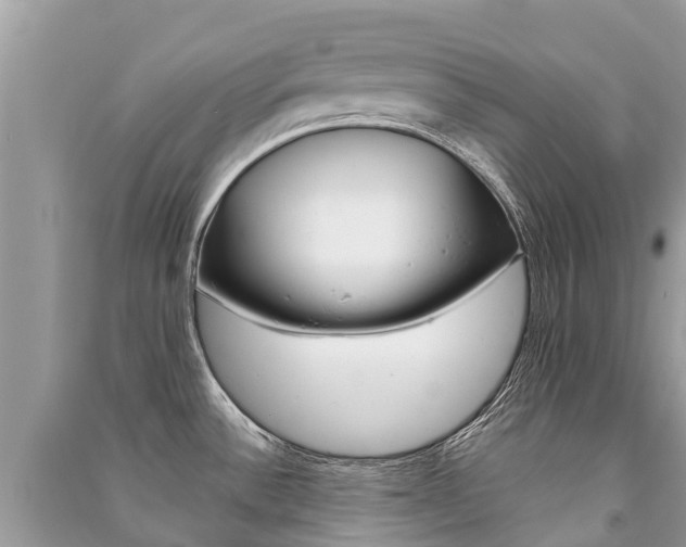 X0000091291532200708101015