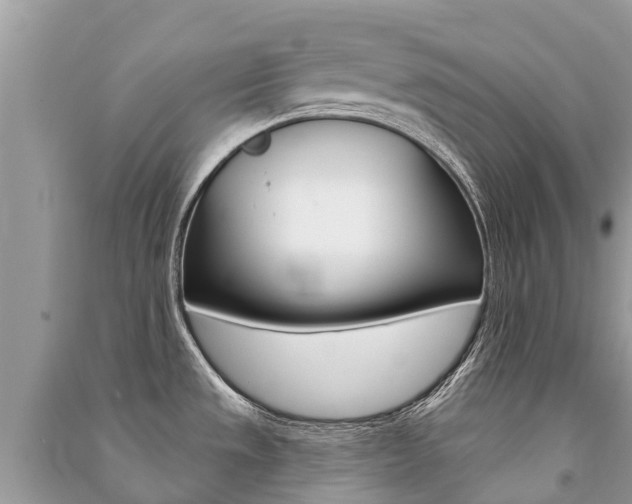 X0000091291533200708101015