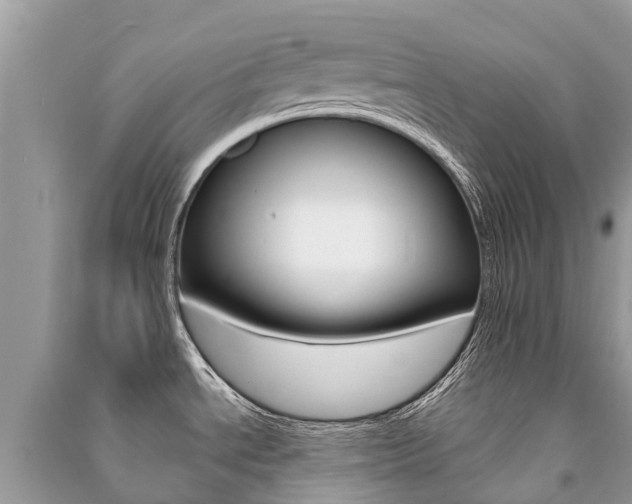 X0000091291534200708101015