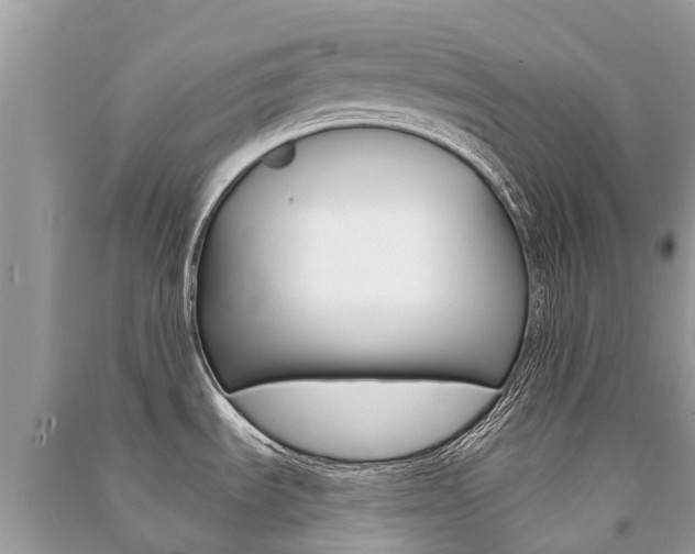 X0000091291535200708101015