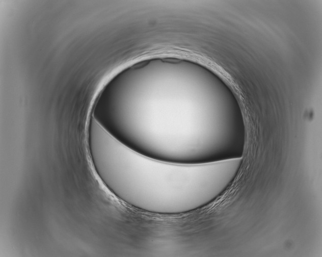 X0000091291536200708101015