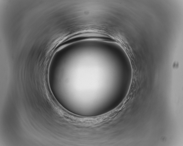 X0000091290001200708101256