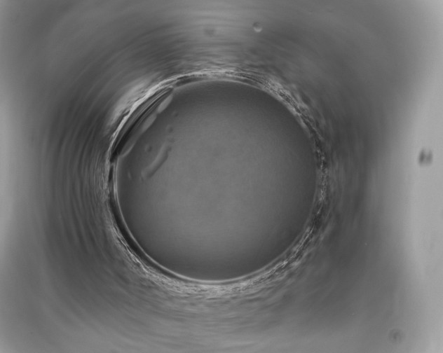 X0000091290002200708101256