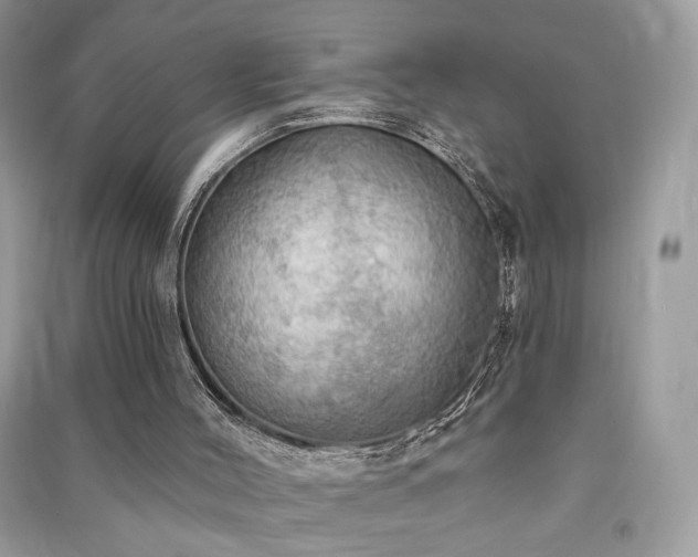 X0000091290004200708101256