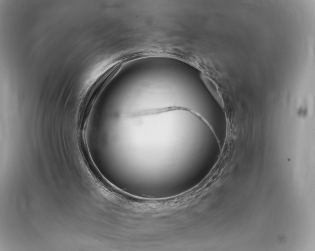 X0000091290005200708101256