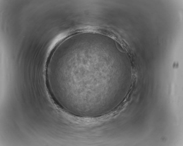 X0000091290006200708101256