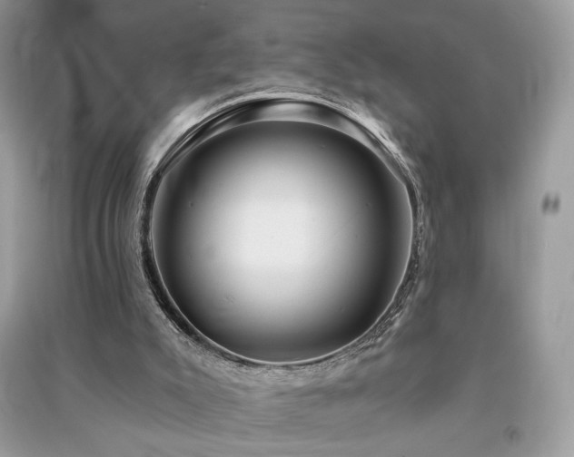 X0000091290007200708101256