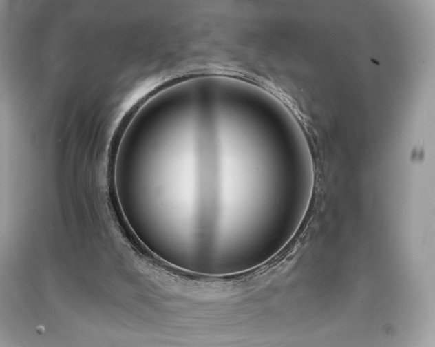 X0000091290008200708101256