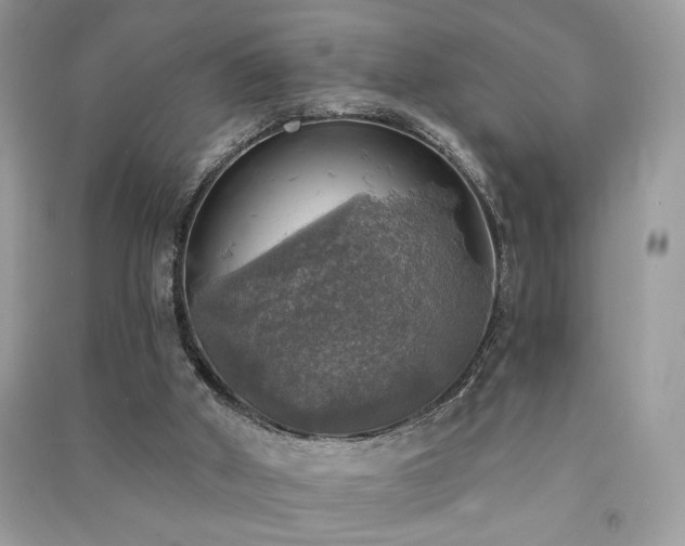 X0000091290010200708101256