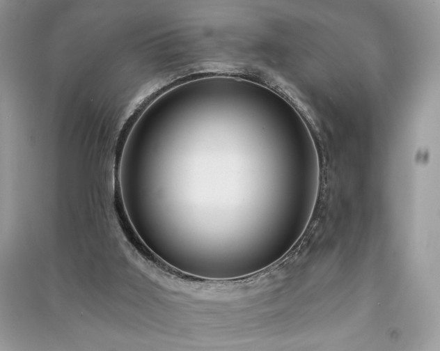 X0000091290011200708101256