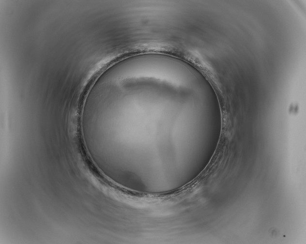 X0000091290012200708101256