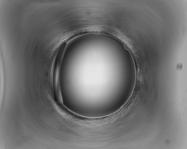 X0000091290013200708101256