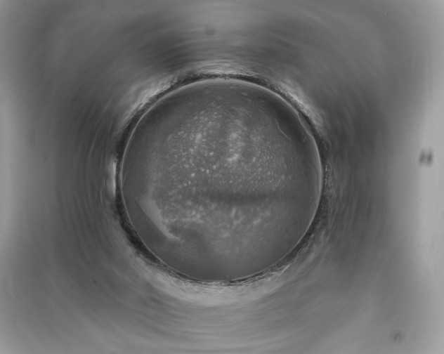 X0000091290014200708101256