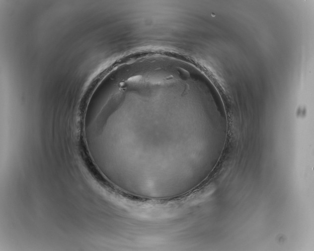 X0000091290016200708101256