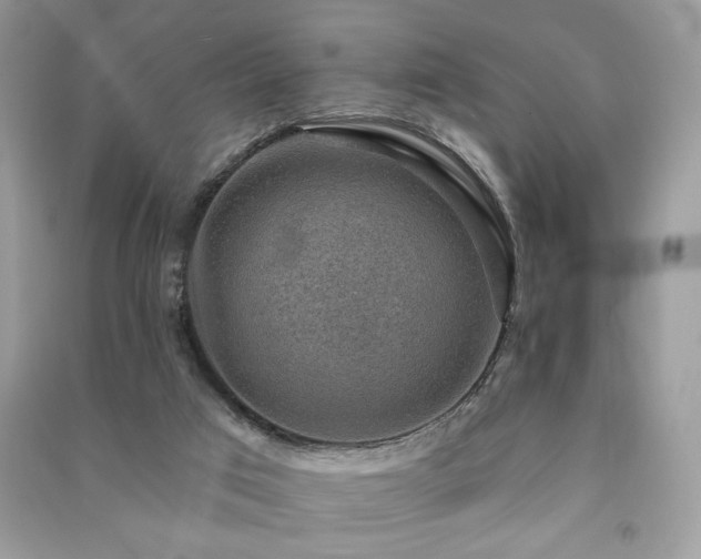 X0000091290017200708101256